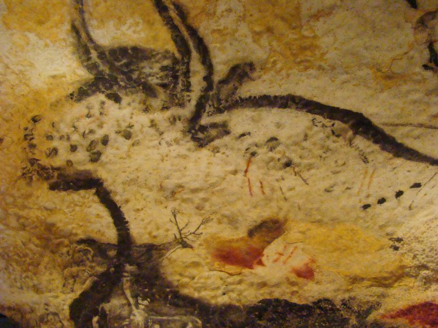 From Bordeaux: Lascaux and Dordogne Valley Private Tour - Frequently Asked Questions