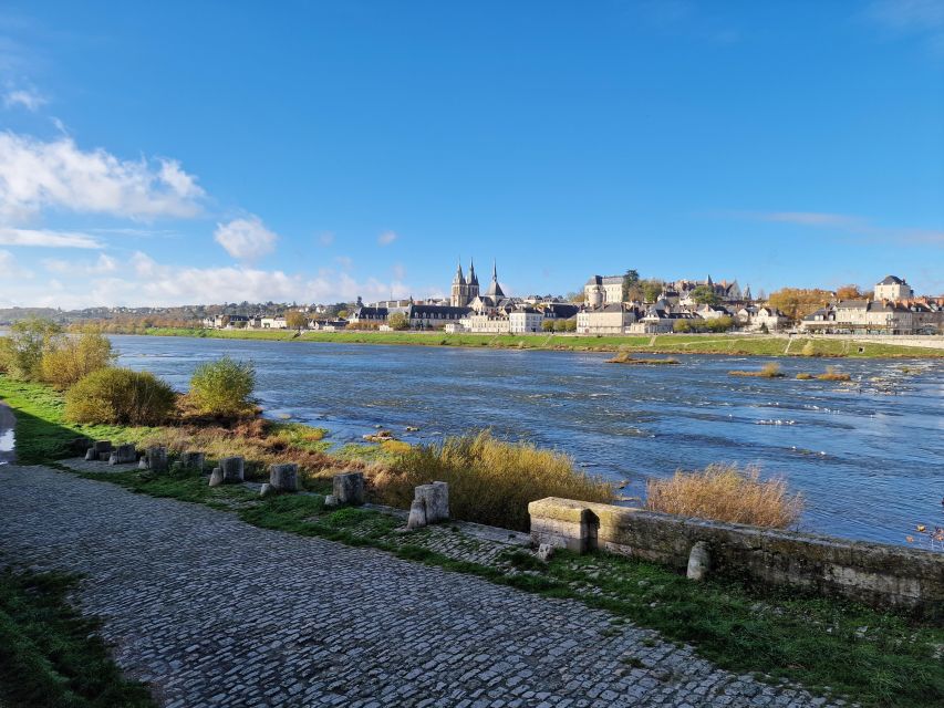 Private Tour From Paris to Loire Castles & Michelin Lunch - Activity Inclusions