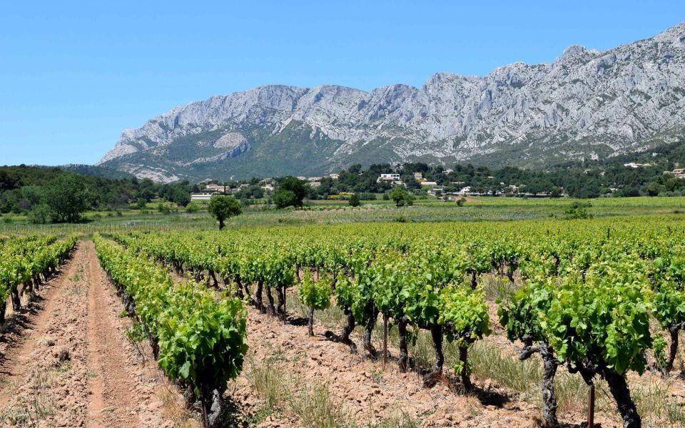 Provence, Vineyards & Lavender Fields Private Day Trip - Frequently Asked Questions