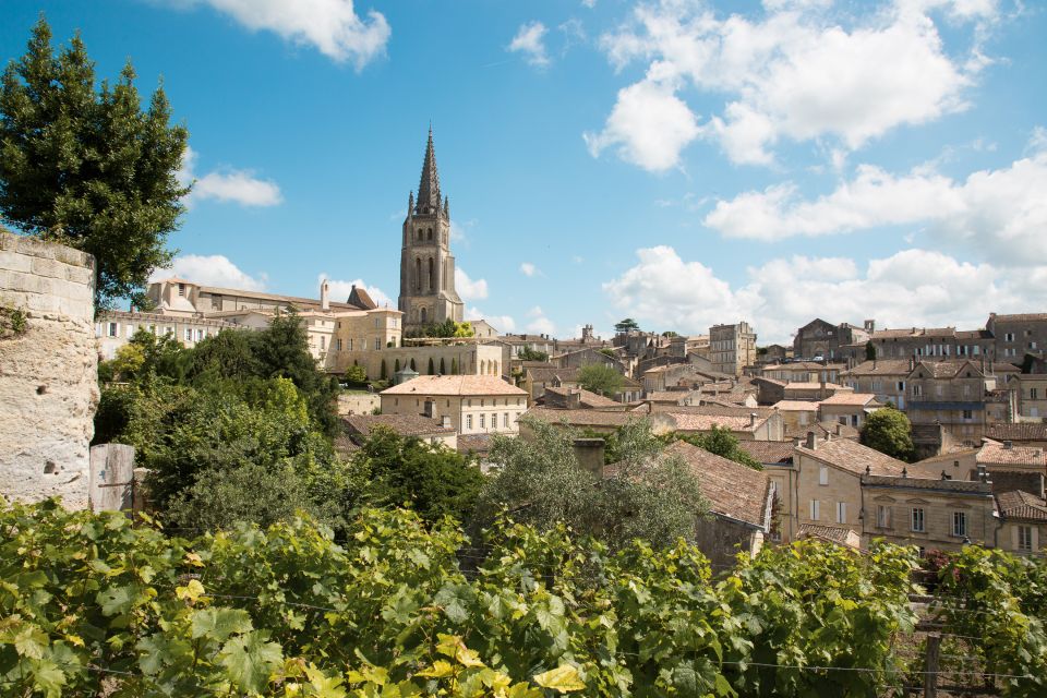 From Bordeaux: Private Wine Tour to Saint-Émilion - Recap