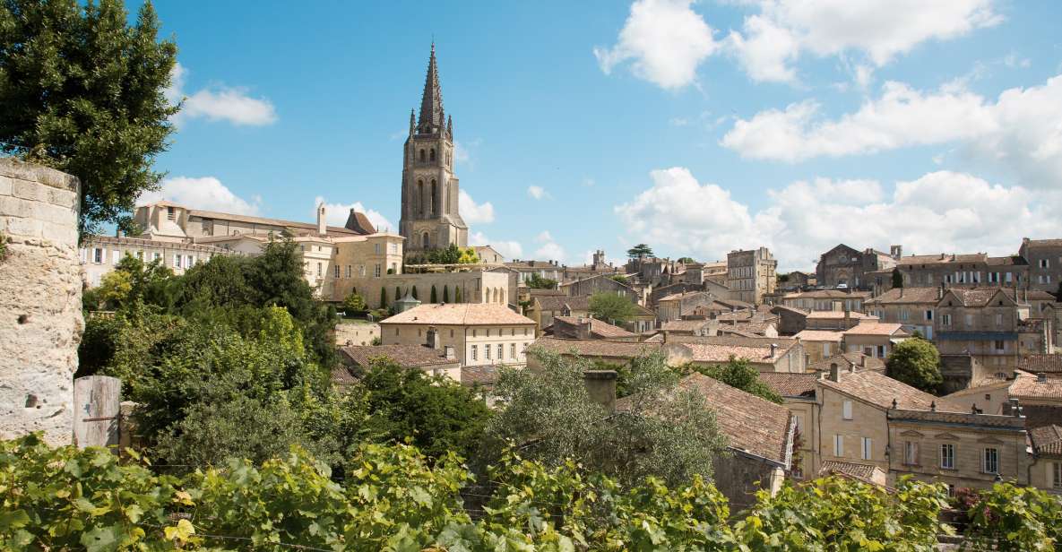 From Bordeaux: Private Wine Tour to Saint-Émilion - Customer Reviews