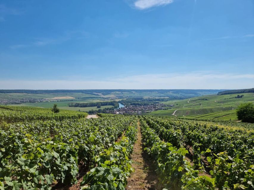 Paris: Private Epernay Trip With Champagne Vineyard Tastings - Itinerary Details