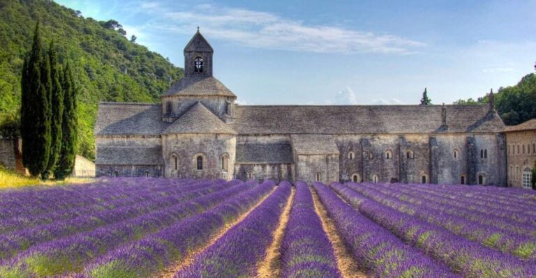Private Lavender of Provence Tour