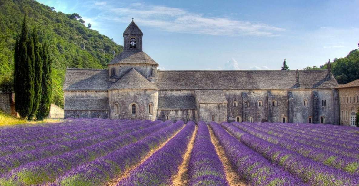 Private Lavender Of Provence Tour Tour Details