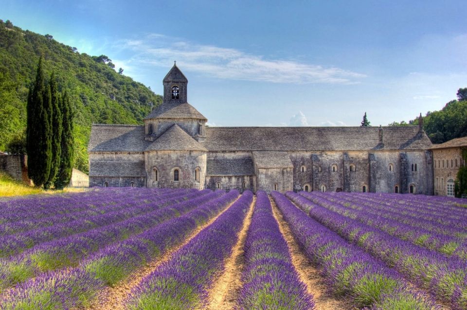 Private Lavender of Provence Tour - Description