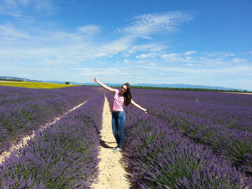 Private Lavender of Provence Tour - Highlights