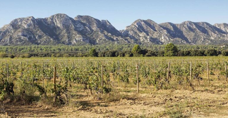 Arles, Saint-Rémy & Les Baux De Provence: Guided Tour