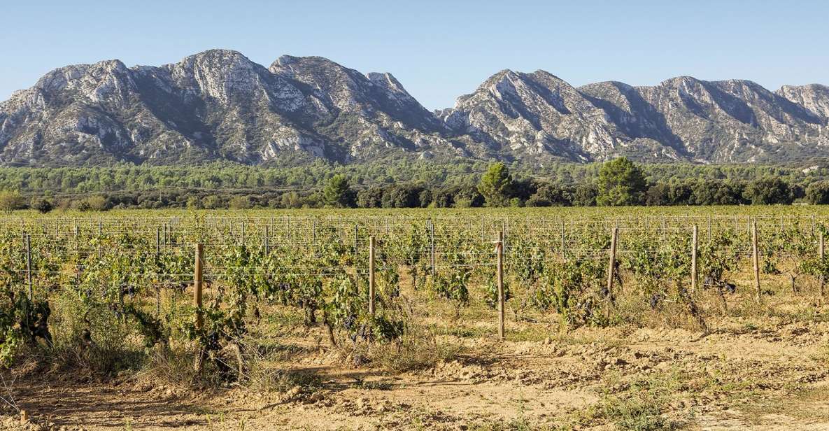 Arles, Saint Rémy & Les Baux De Provence: Guided Tour Tour Highlights