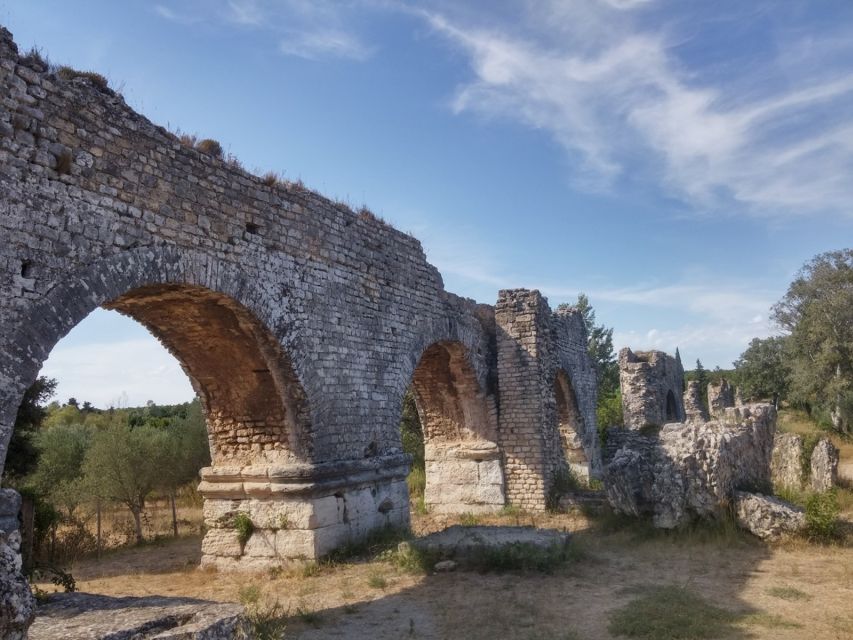 From Marseille: Full-Day Les Baux De Provence Wine Tour - Activity Description