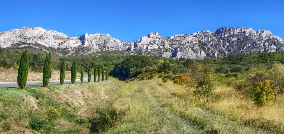 From Marseille: Full-Day Les Baux De Provence Wine Tour - Not Suitable For