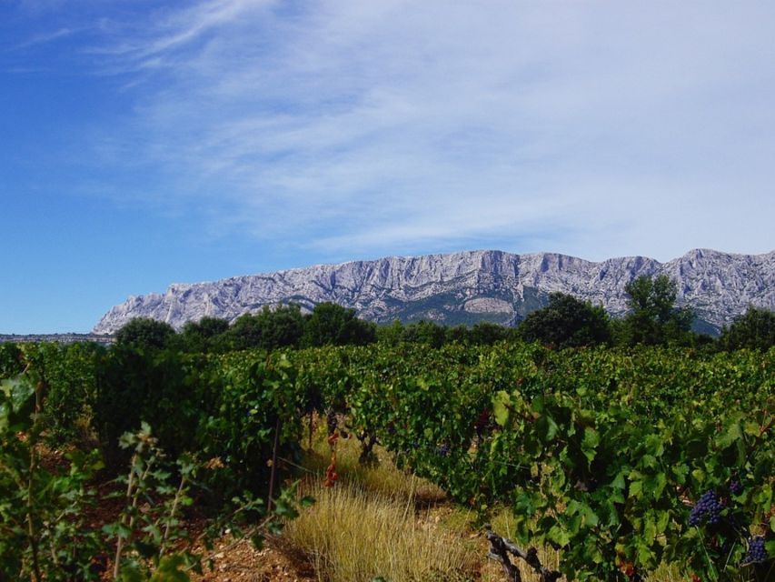 Coteaux Daix: Ste Victoire Wine Tour & Cezanne Mill Visit - Customer Review