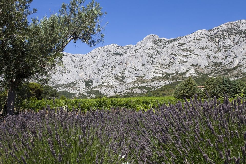 Coteaux Daix: Ste Victoire Wine Tour & Cezanne Mill Visit - Accessibility