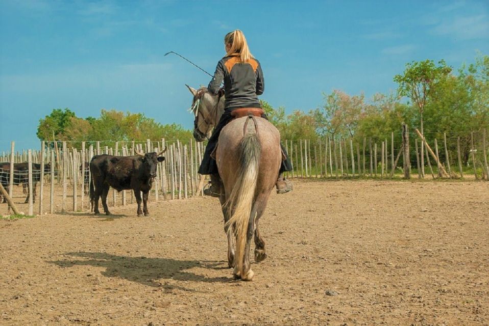 Marseille: The Camargue 8-Hour Guided Outing - Transportation Information