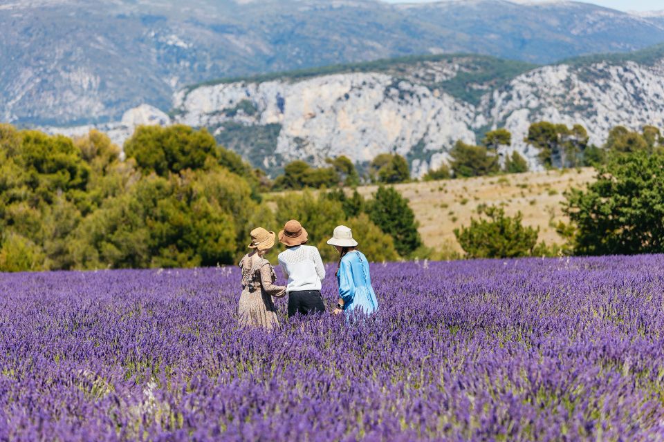 Nice: Gorges Of Verdon And Fields Of Lavender Tour Tour Overview