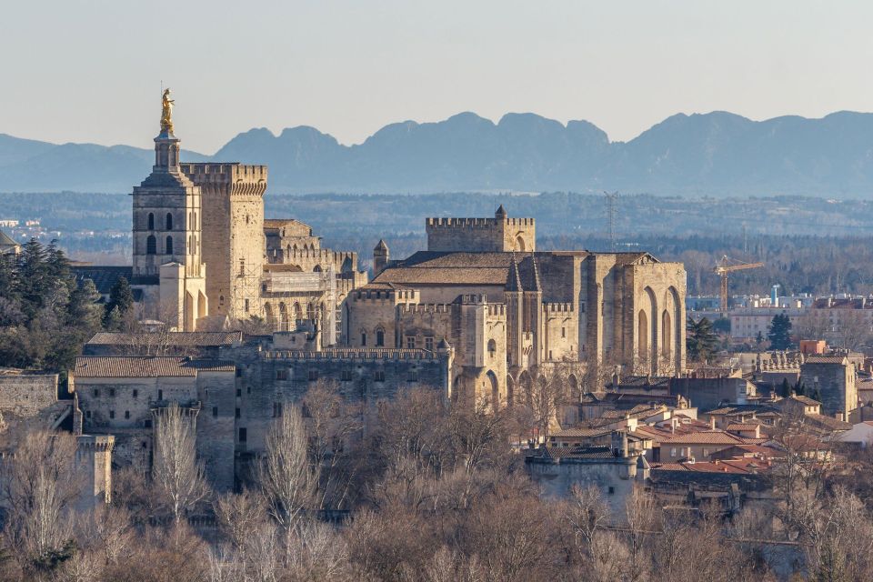 Avignon City of Popes & Wine Tasting Private Full Day Tour - Booking Information