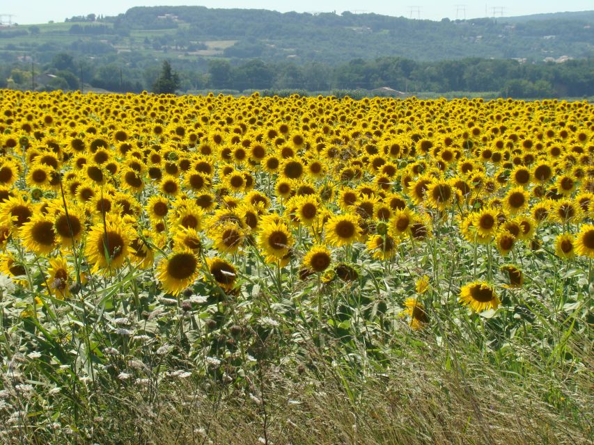 Bordeaux to Dordogne: Castles & Villages Private Tour - Optional Stops