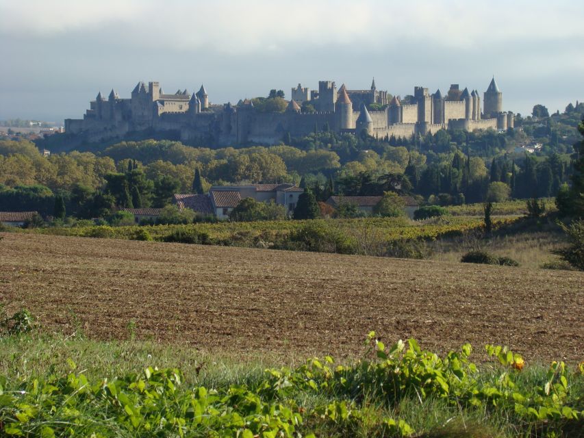 Toulouse to Carcassonne & Albi: Private Sightseeing Tour - Important Information