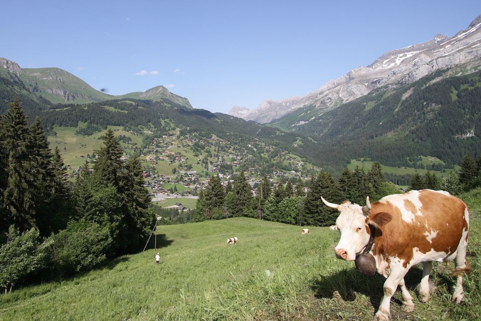 Glacier 3000: High Level Experience Private Tour - Les Diablerets Village Visit