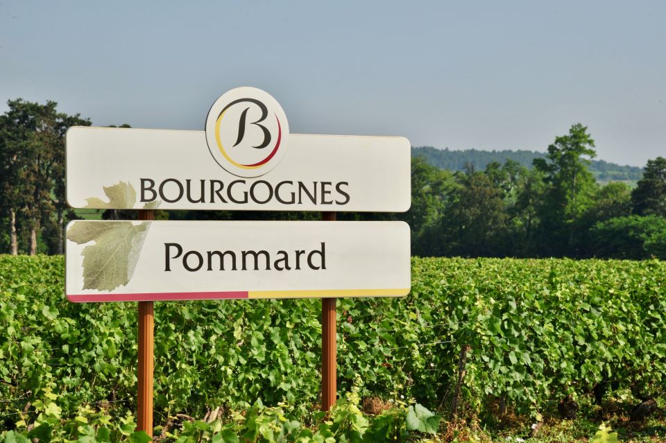 Côte De Beaune Private Local Wineries And Wine Tasting Tour Tour Pricing And Duration