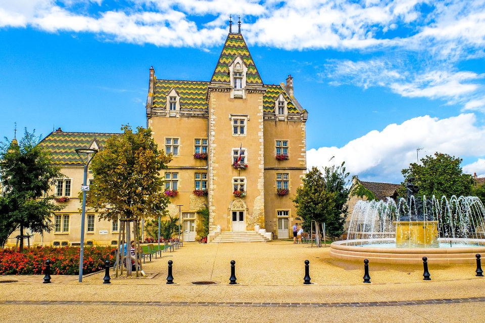 Côte De Beaune Private Local Wineries and Wine Tasting Tour - Important Information for Participants