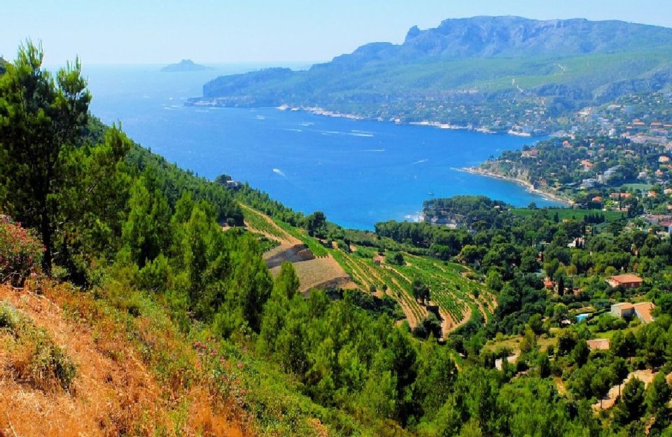 Calanques of Cassis, Aix-en-Provence & Wine Tasting Day Tour - Key Points