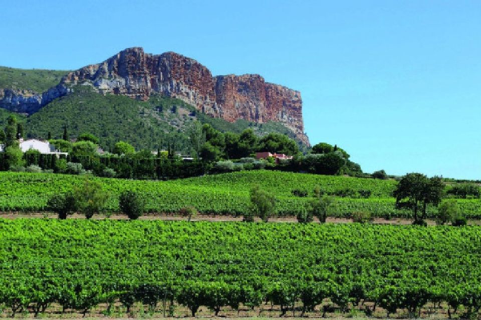 Calanques of Cassis, Aix-en-Provence & Wine Tasting Day Tour - Languages and Inclusions