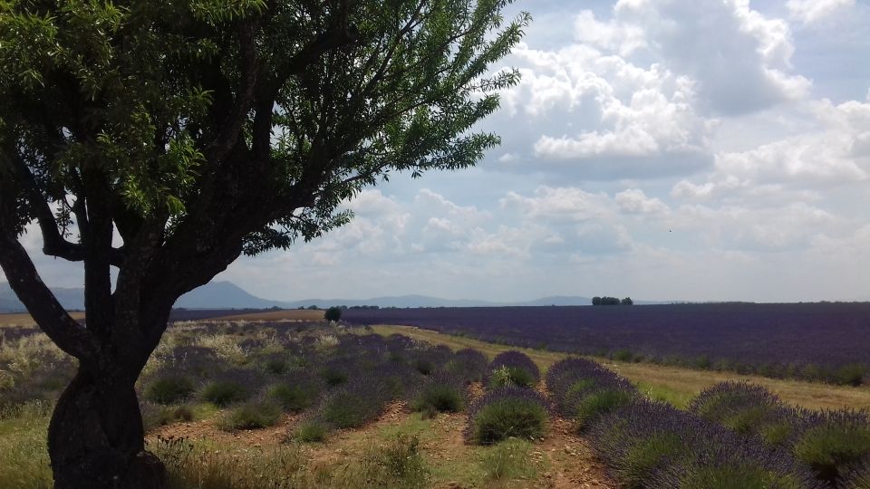 Verdon Gorge: the Grand Canyon of Europe, Lake and Lavender - Customer Reviews and Recommendations