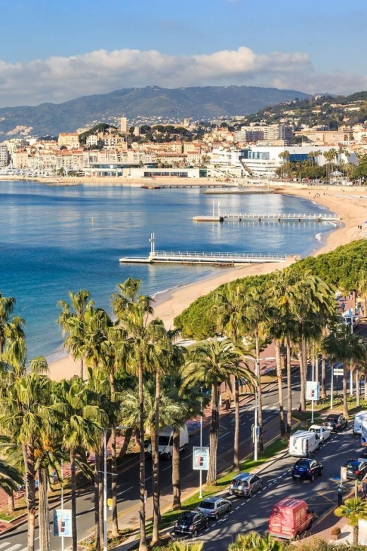 Port of Cannes : Personalized Private Tour - Key Points