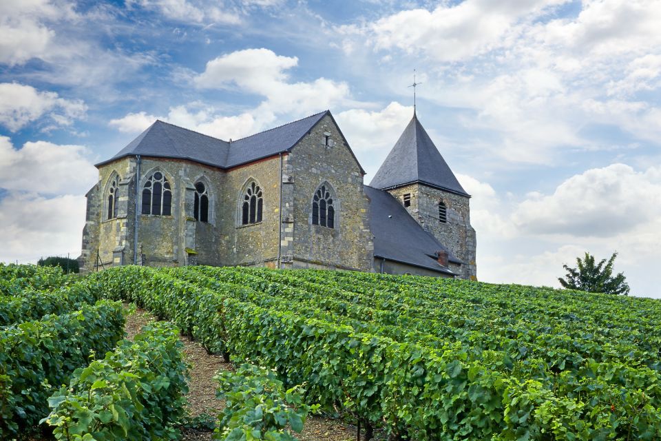 Paris: Two Reims Champagne Vineyards With Tastings and Lunch - Pricing Details