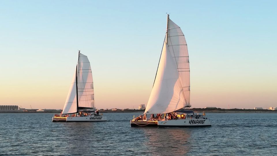 La Rochelle: Catamaran Cruise Activity Details