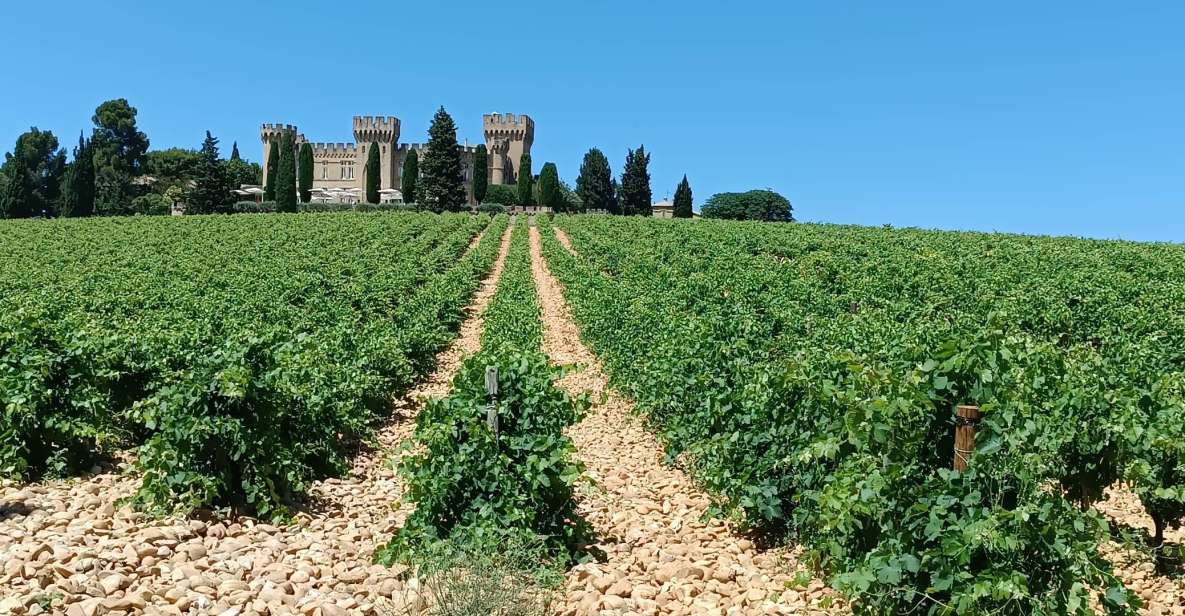 Aix-en-Provence: Avignon Tour & Chateauneuf-du-Pape Tasting - Meeting Point and Requirements