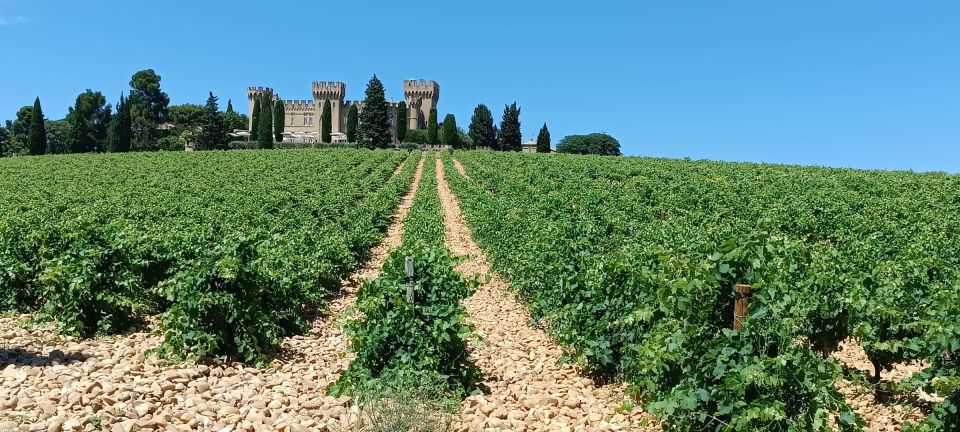 Aix-en-Provence: Avignon Tour & Chateauneuf-du-Pape Tasting - Customer Reviews and Feedback