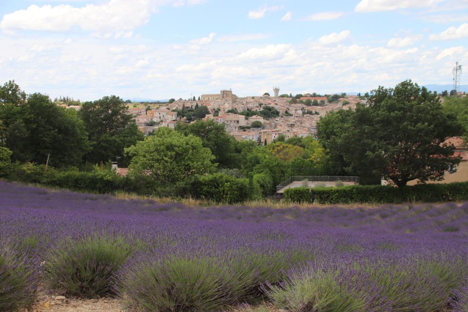 From Aix-En-Provence: Lavender Experience & Gorges Du Verdon - Key Points