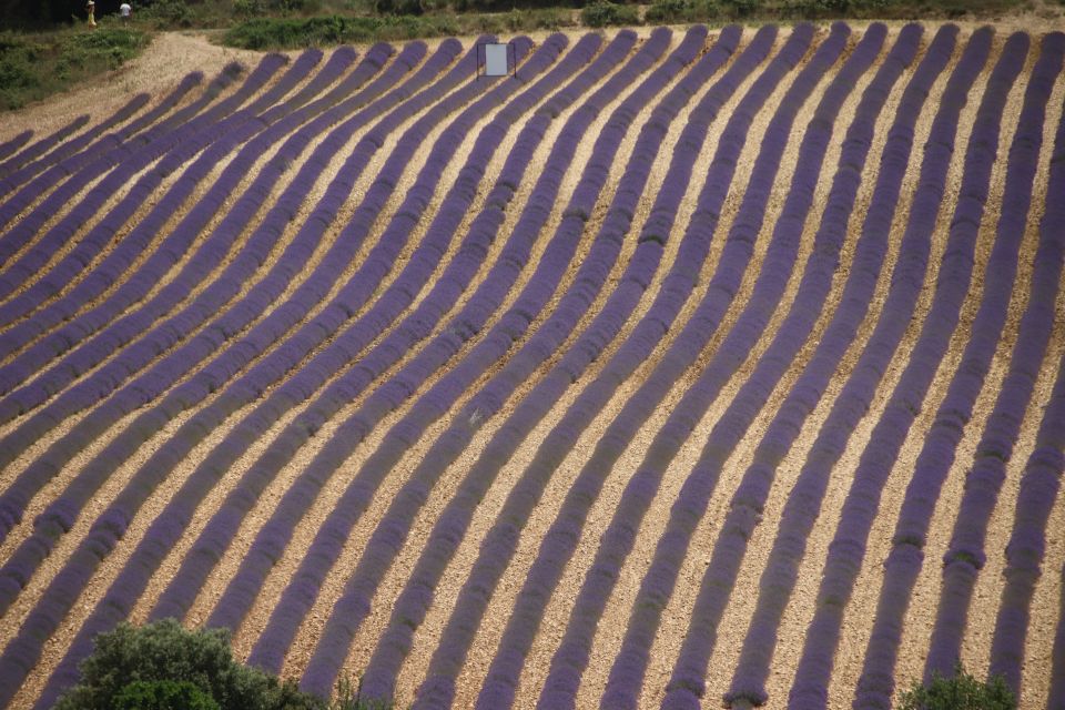 From Aix-En-Provence: Lavender Experience & Gorges Du Verdon - Frequently Asked Questions