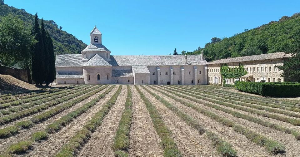 From Aix-en-Provence: Luberon Park Lavender Season Tour - Meeting Information