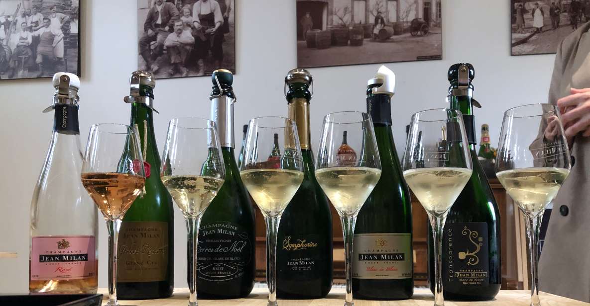 From Reims/Epernay: Private Gold Champagne Tasting Tour - Key Points