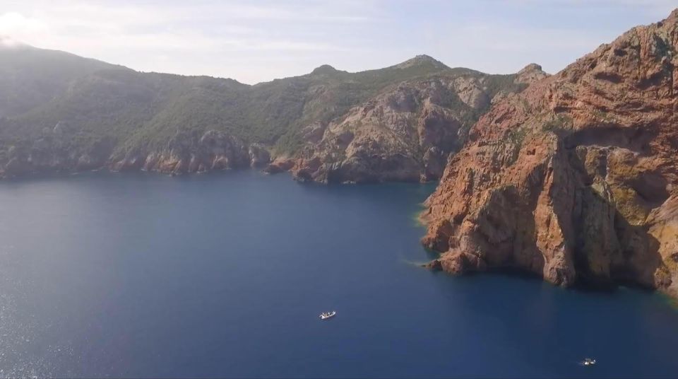 Calvi : Private Boat Tour of Scandola Nature Reserve - Tour Description