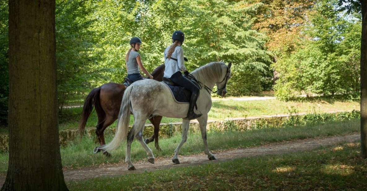 Horse Ride Versailles Intimacy & Vip Activity Details