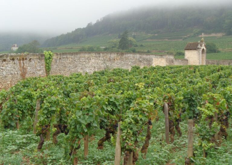 Route of the Great Wines, Private Wine Tasting in Burgundy!