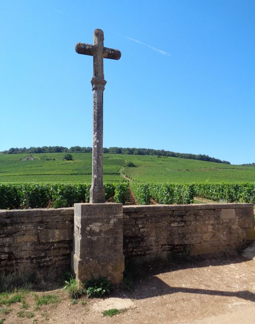 Route of the Great Wines, Private Wine Tasting in Burgundy! - Tour Inclusions