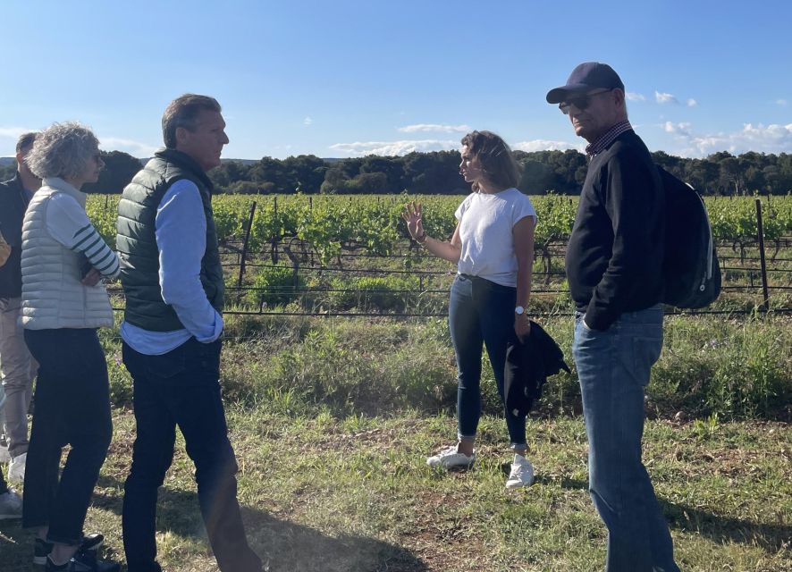 Montpellier: Half-Day Wine Tour With Lunch - Important Information