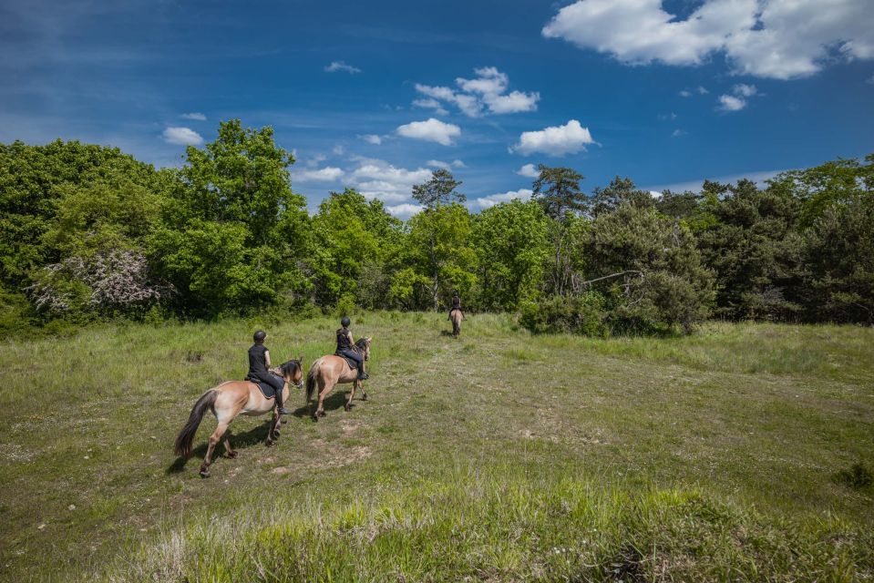 Fontainebleau : Horse-riding, Gastronomy & Château - Itinerary Details