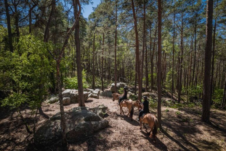 Fontainebleau : Horse-riding, Gastronomy & Château