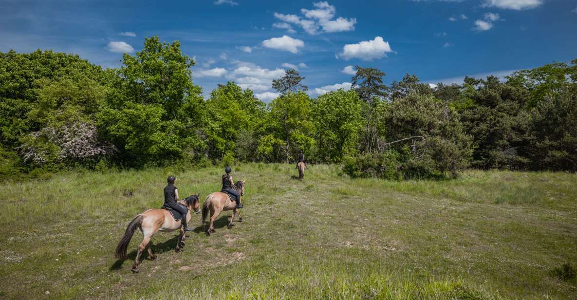 Fontainebleau : Horse-riding, Gastronomy & Château - Immersive Experience