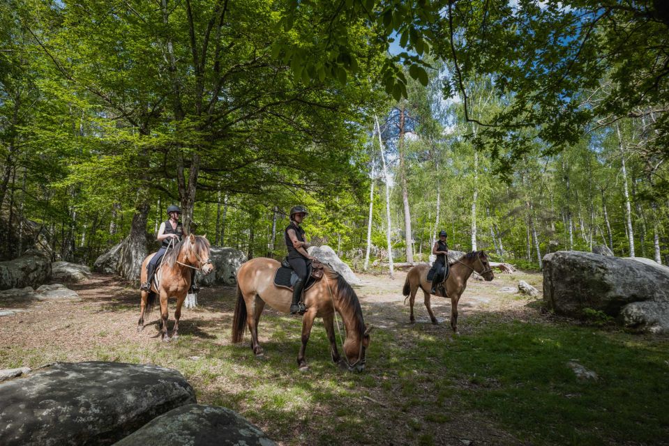 Fontainebleau : Horse-riding, Gastronomy & Château - Key Points