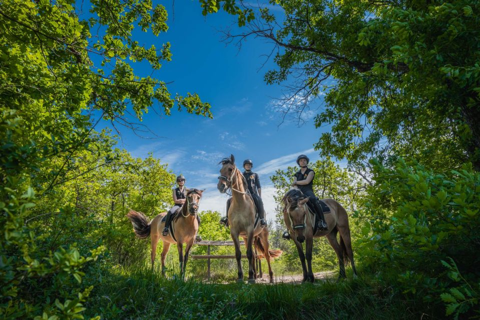 Fontainebleau : Horse-riding, Gastronomy & Château - Customer Reviews