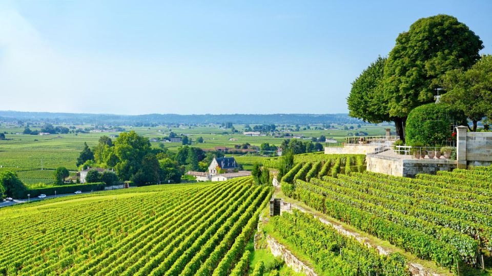 Unesco Heritage And Wine Delights Private Tour From Bordeaux Tour Details