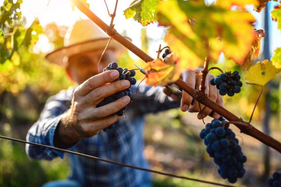 UNESCO Heritage and Wine Delights Private Tour From Bordeaux - Recap