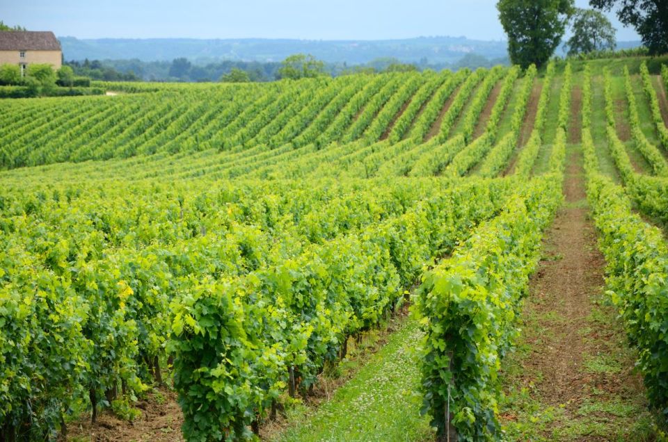 UNESCO Heritage and Wine Delights Private Tour From Bordeaux - Frequently Asked Questions