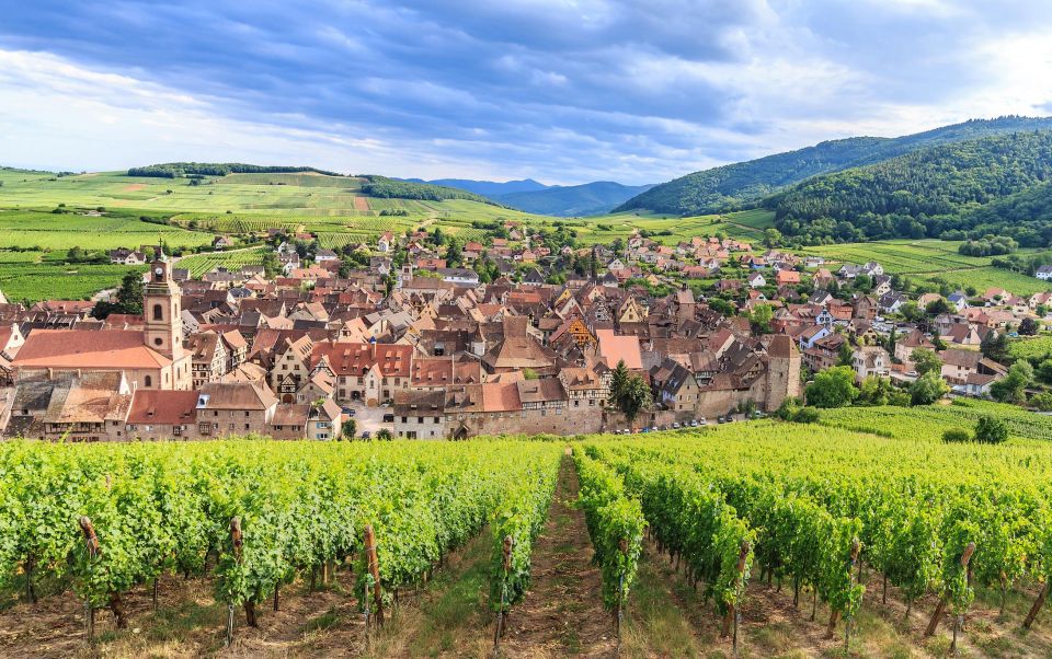 Alsace Wine Odyssey: Full-Day Private Tour From Strasbourg - Itinerary